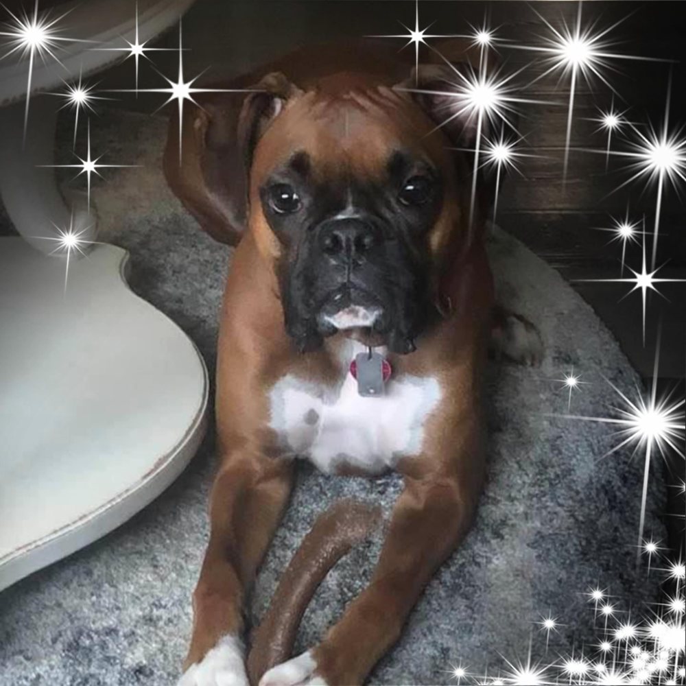 Meet your Posher, Carol